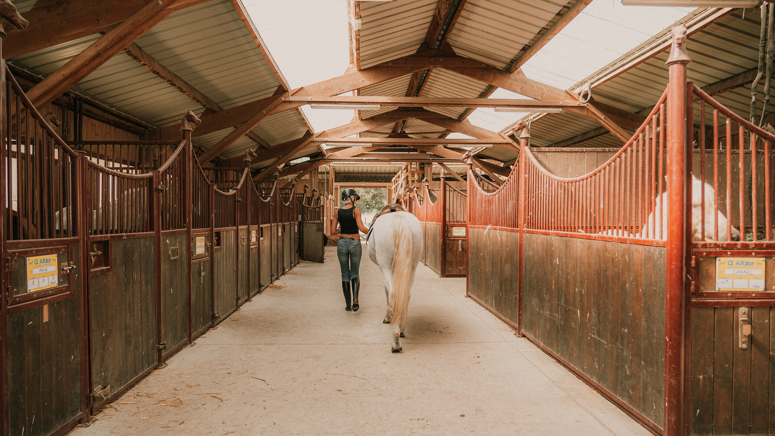 Stage d'équitation adultes et adolescents - 4 jours