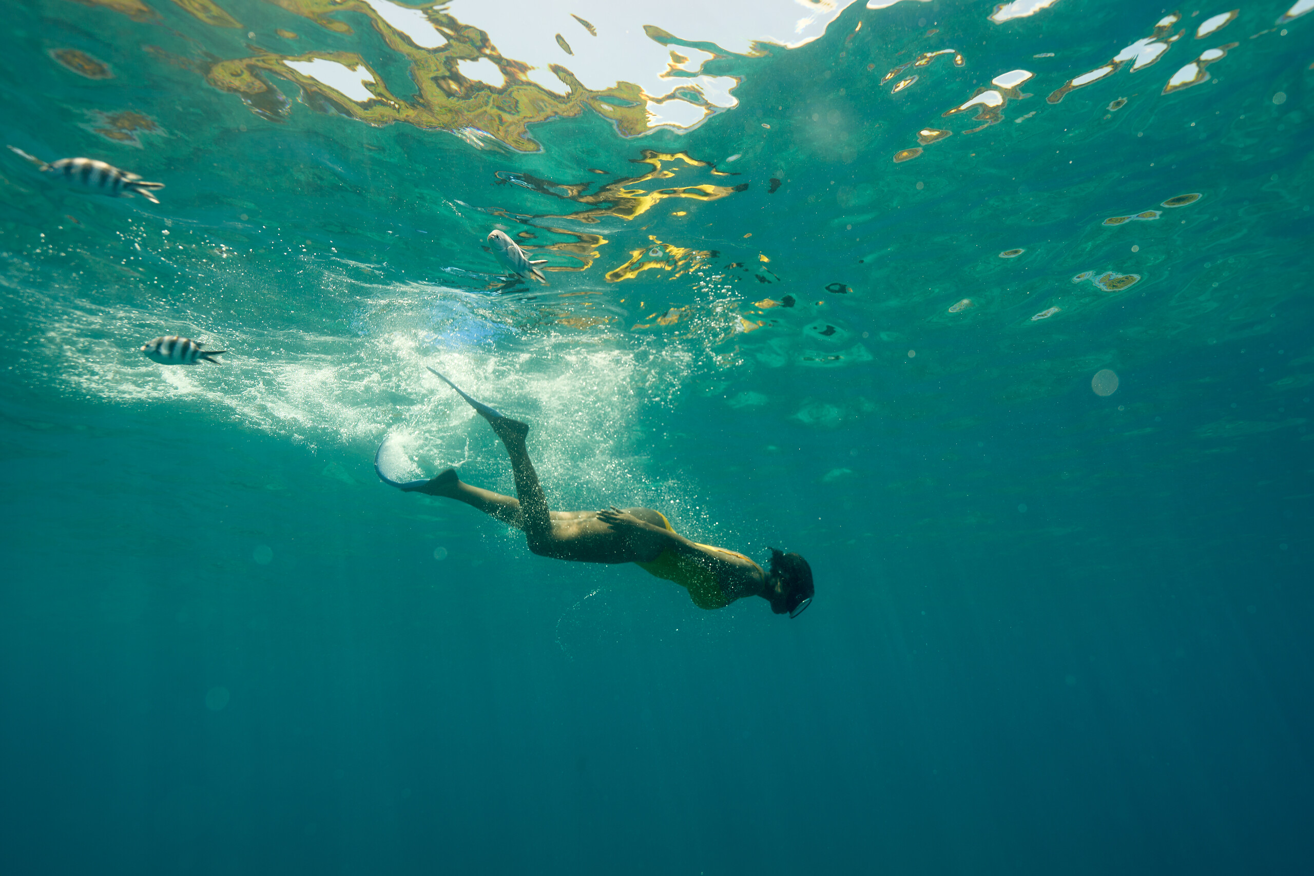 Snorkeling