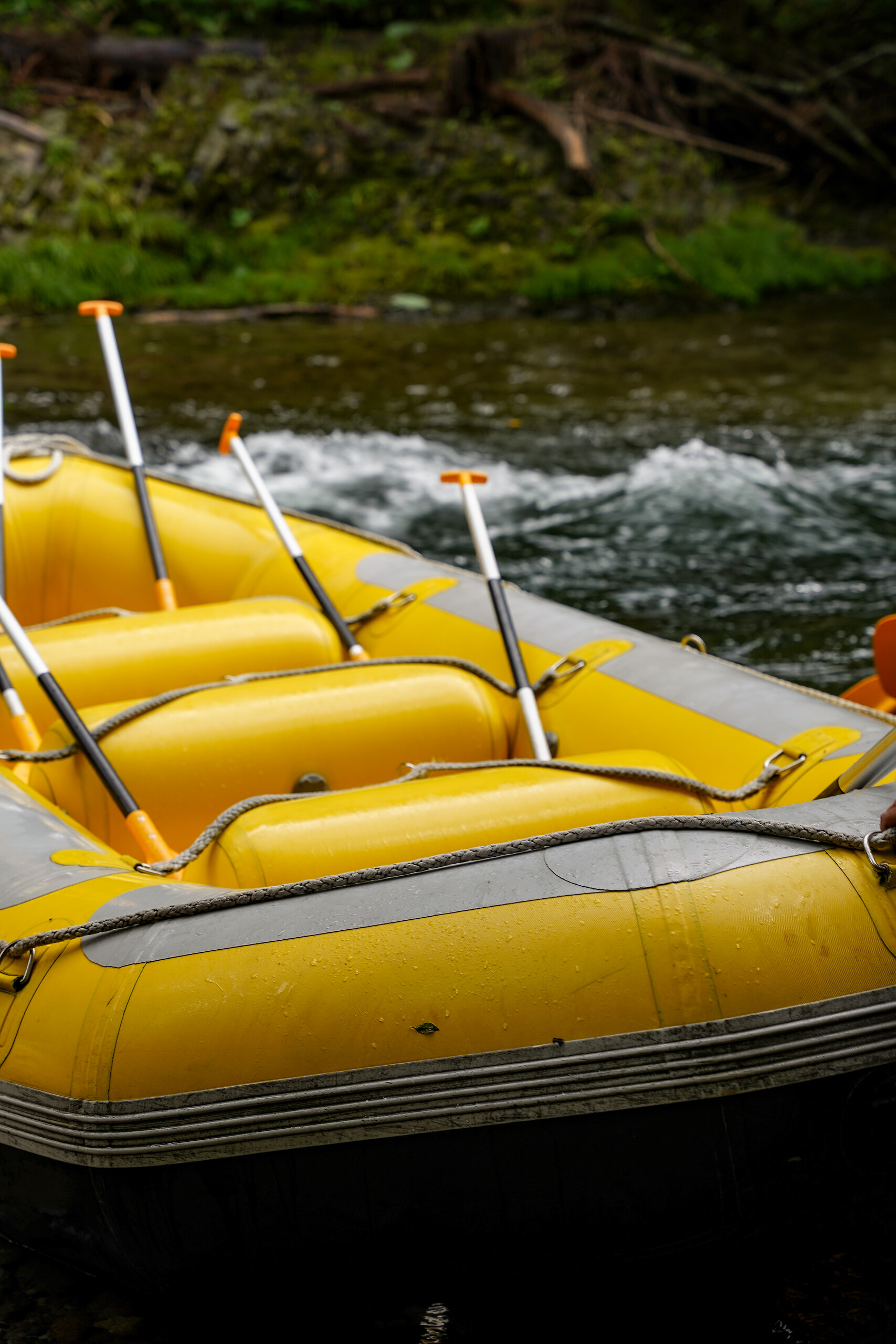 Kids rafting
