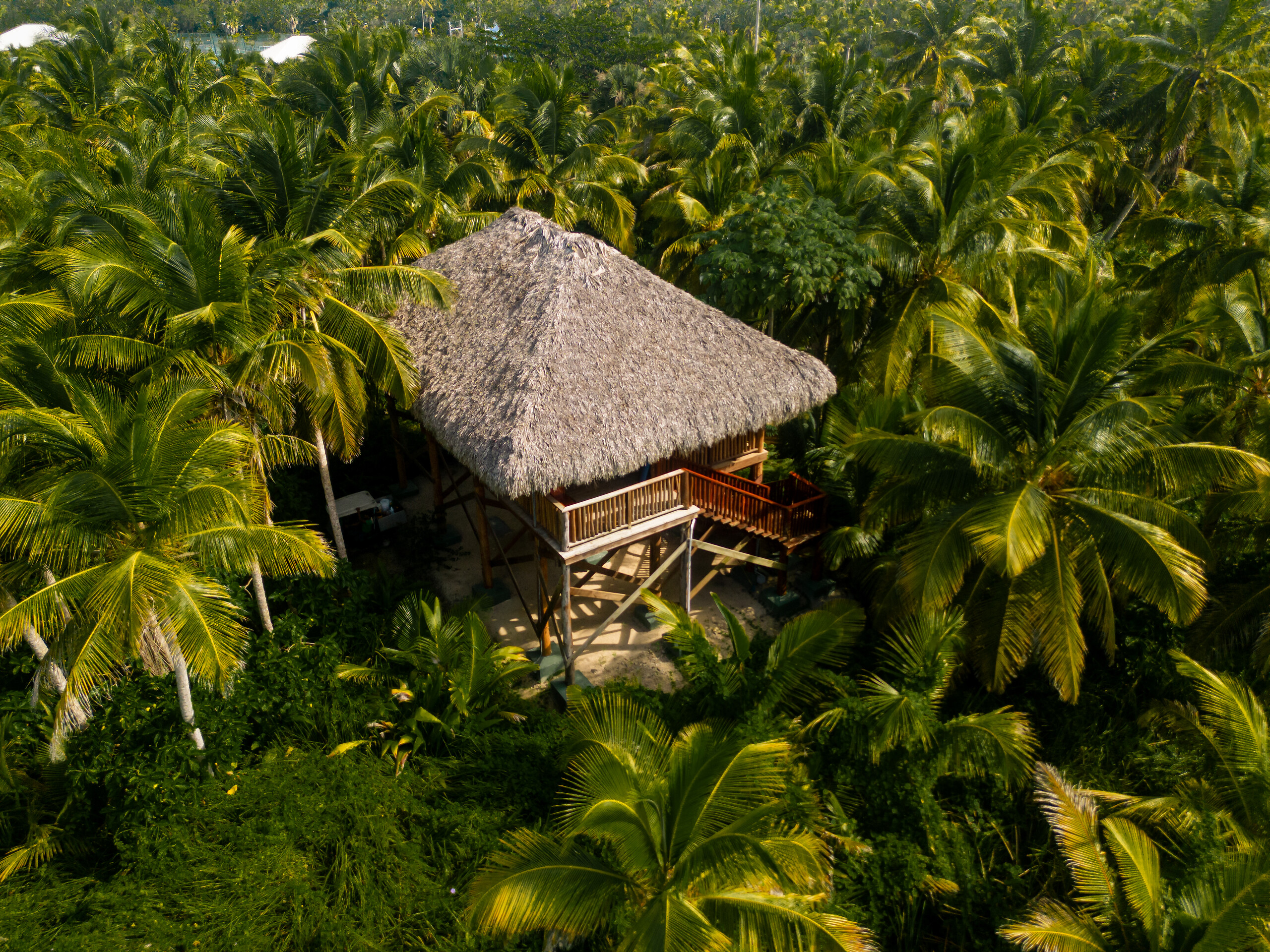 Yoga Palapa