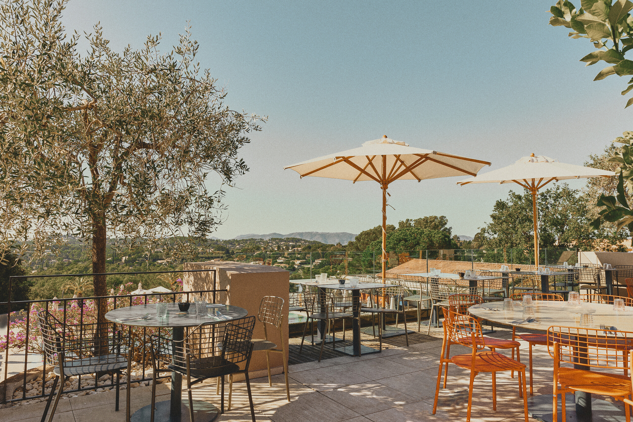 The Provence