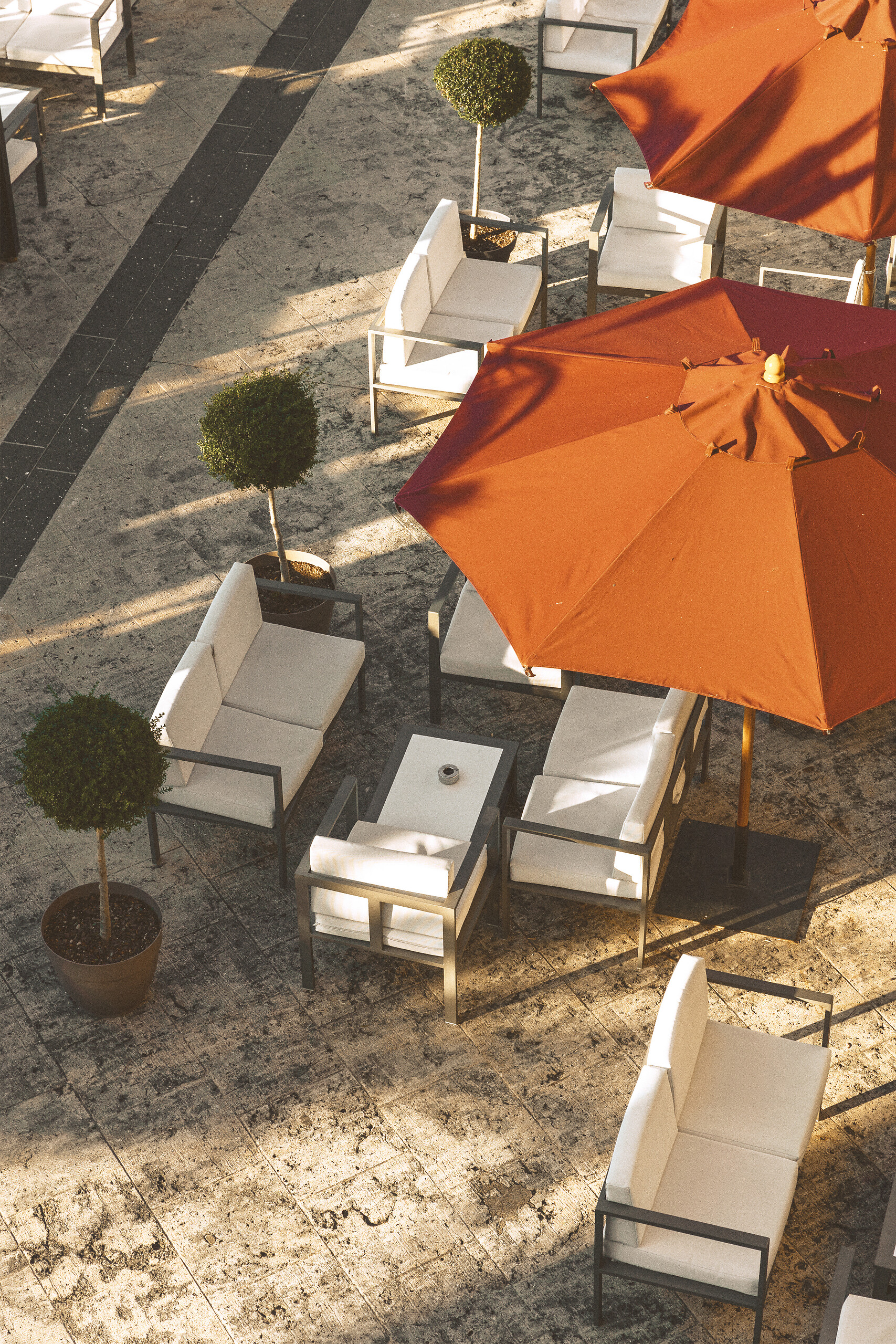 The Croisette