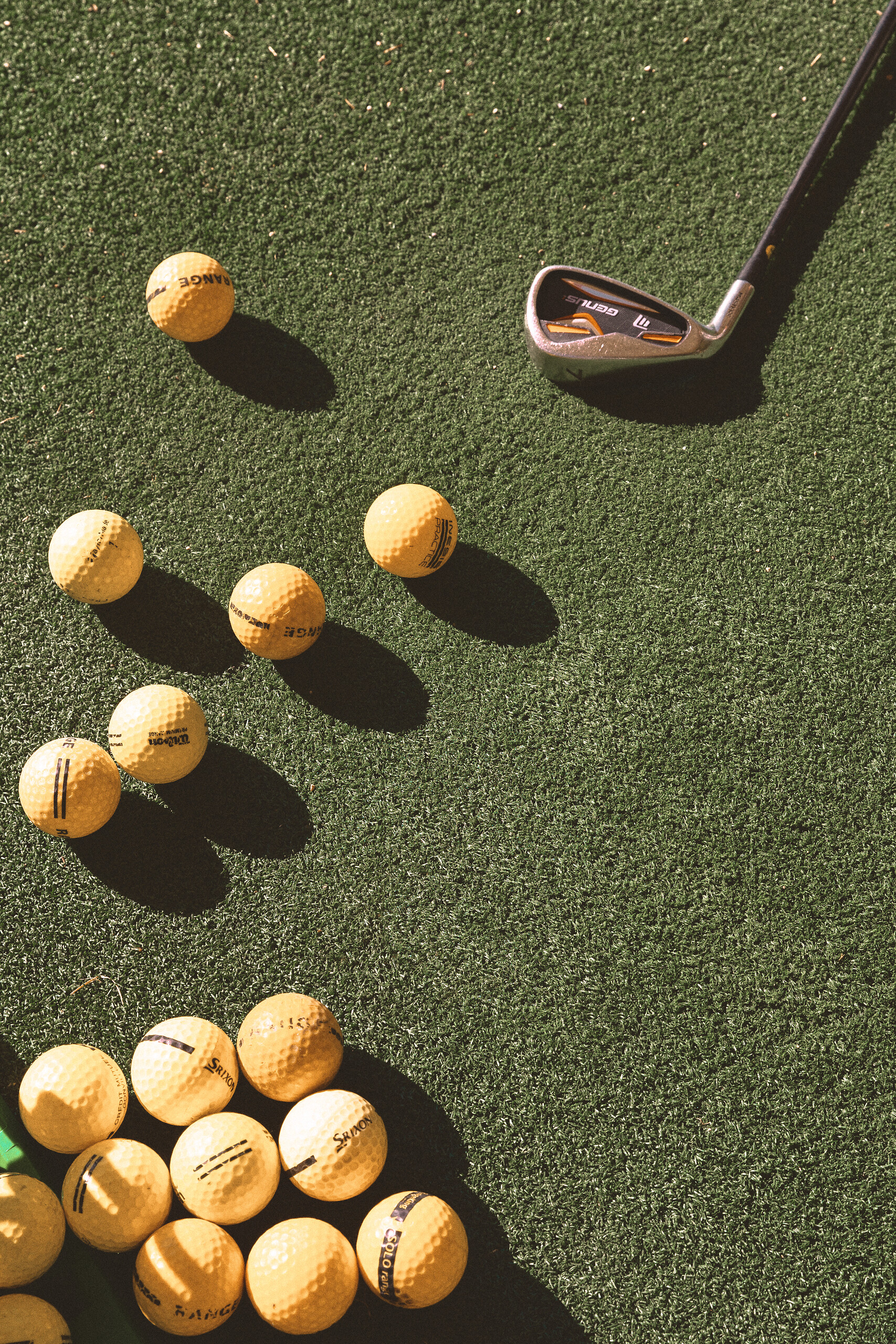 Practice net