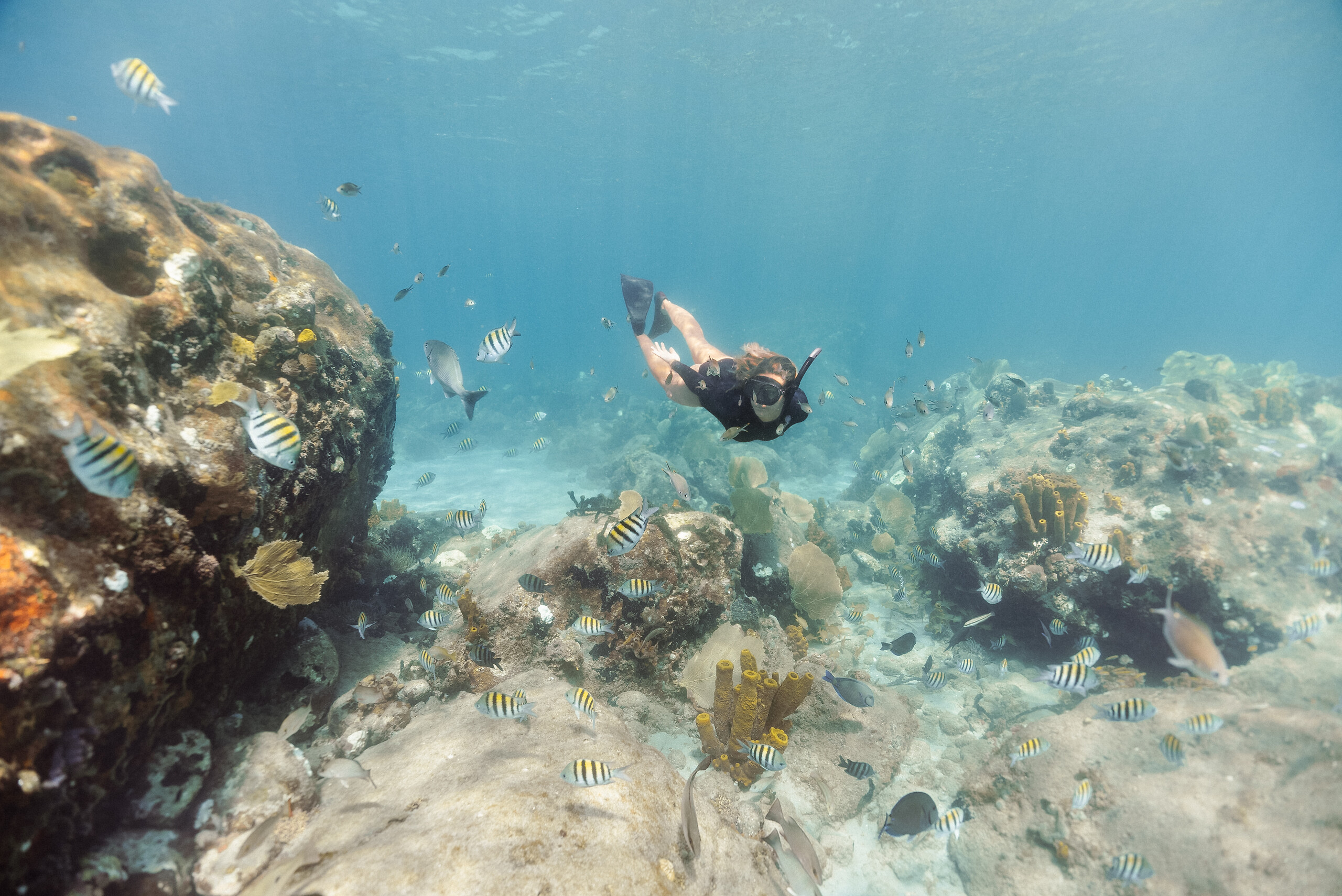 Snorkeling - guided diving outings