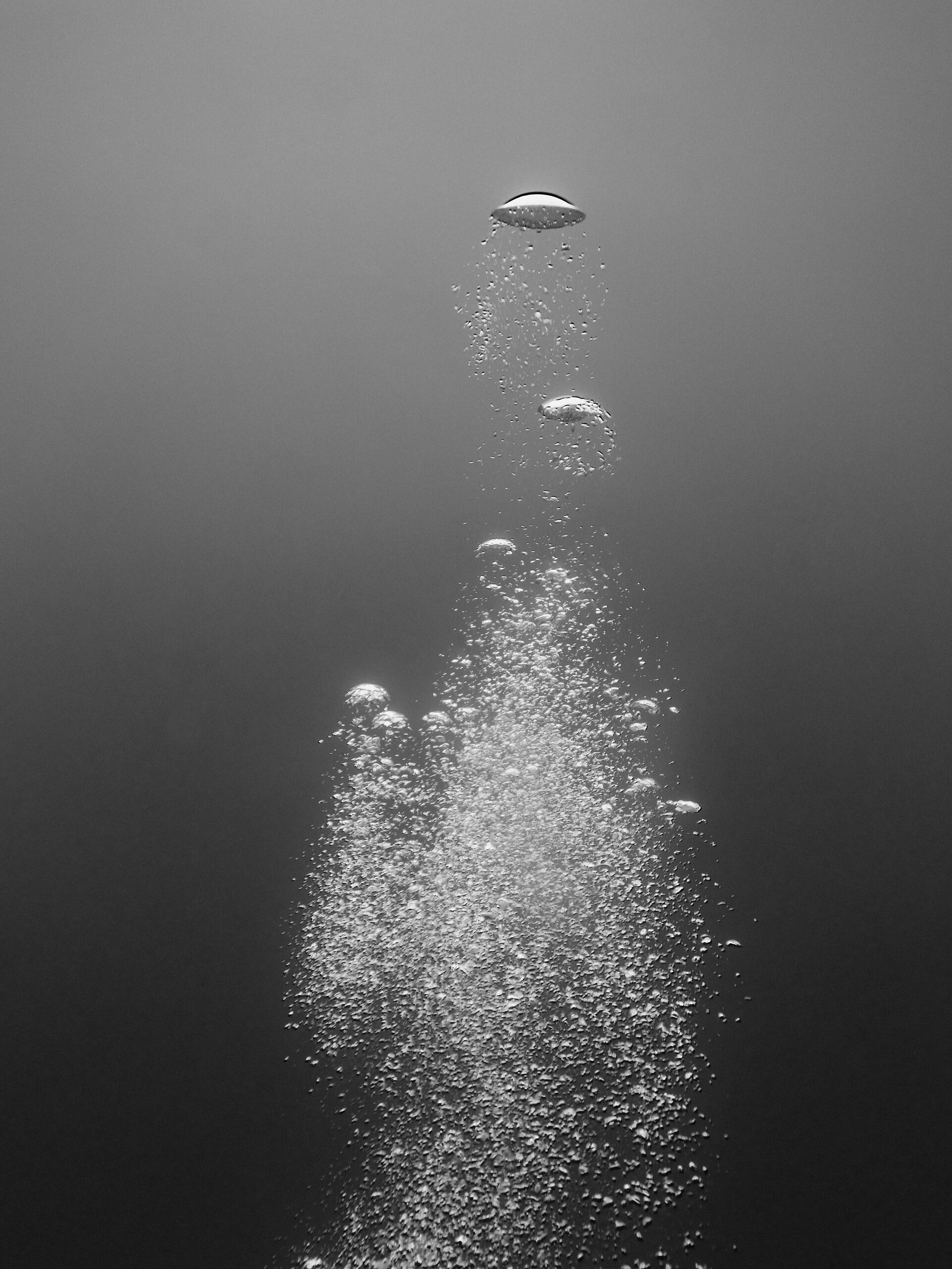PADI Open Water Diver course