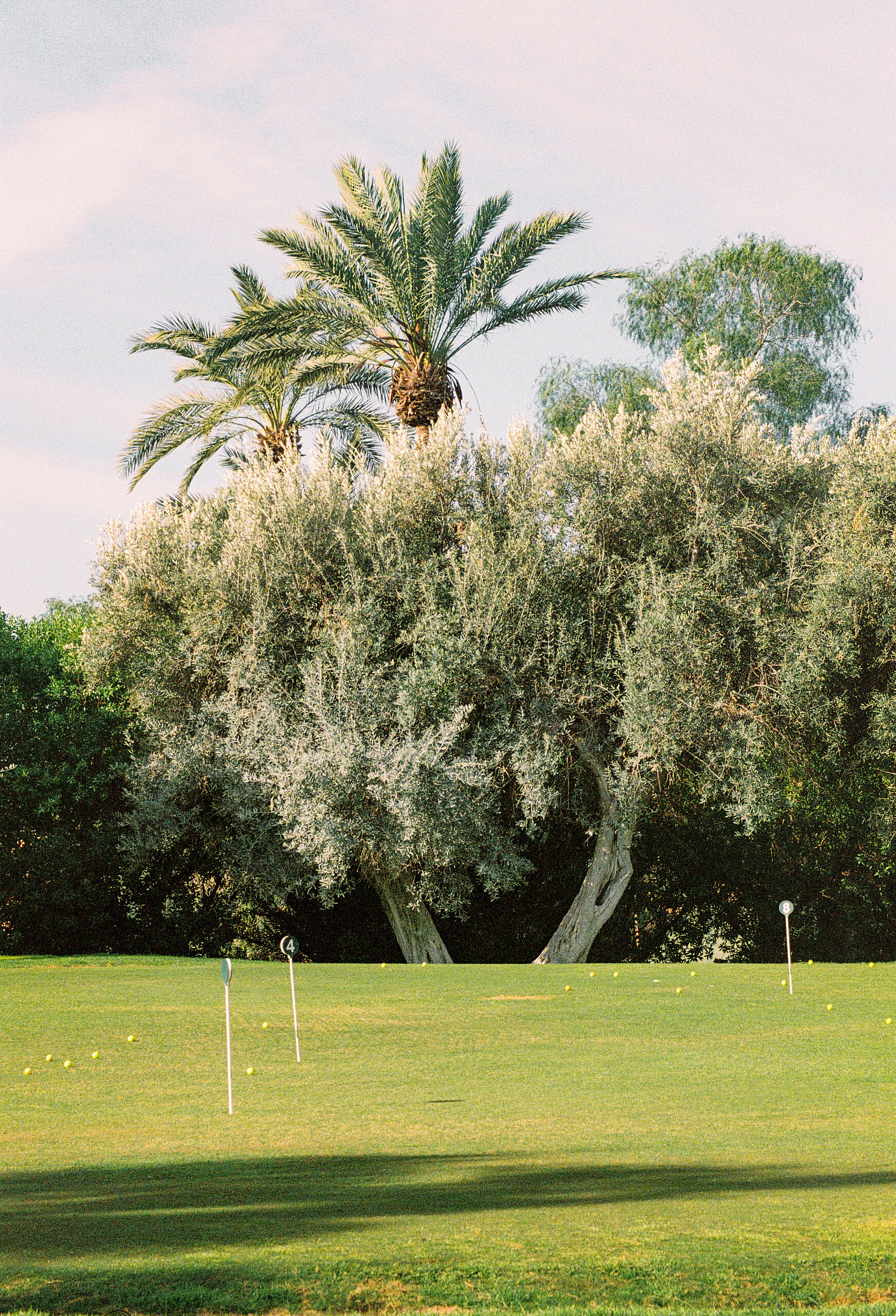 Stage d'initiation de golf - 5 jours