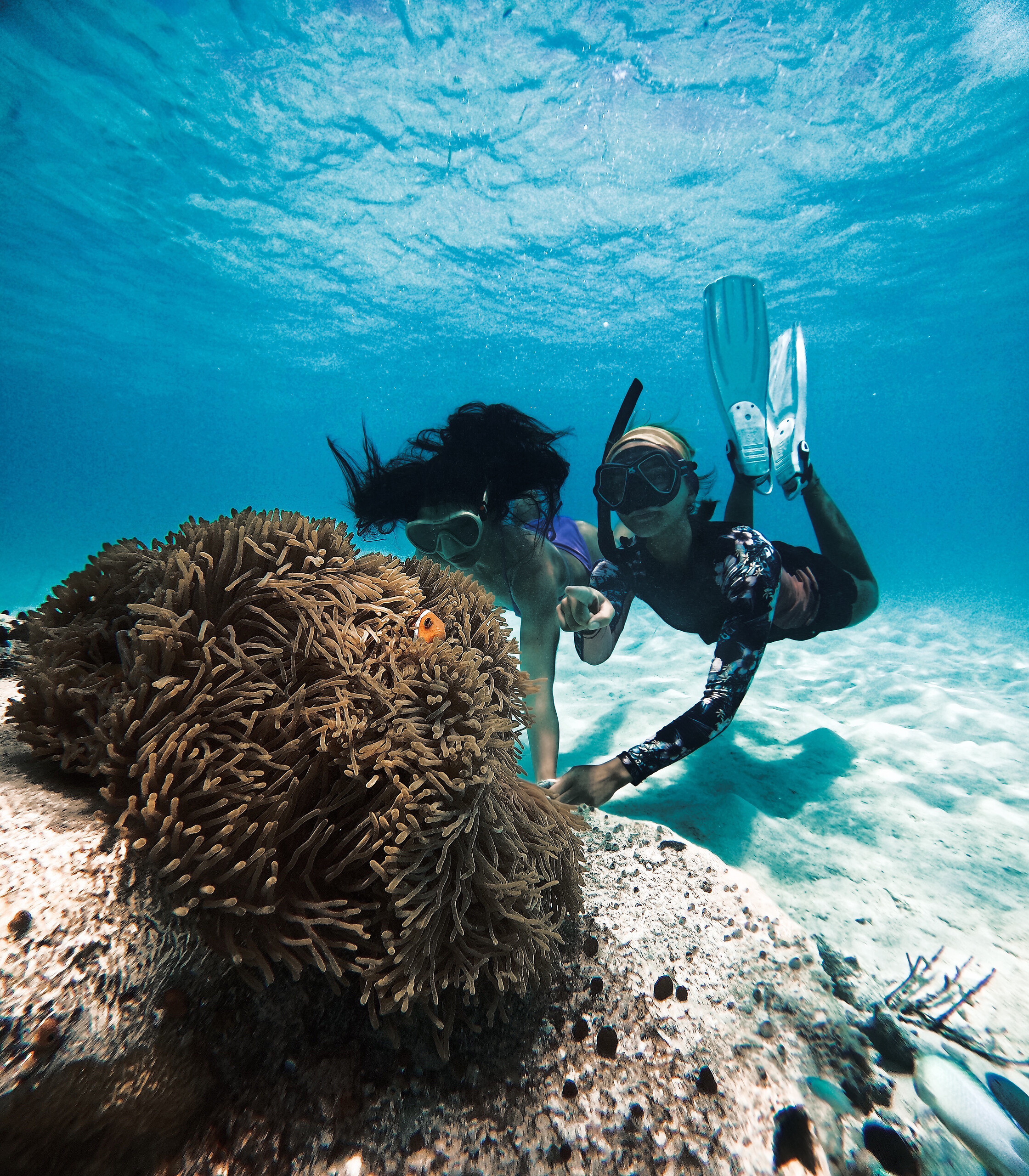 Snorkeling (outside Club Med)