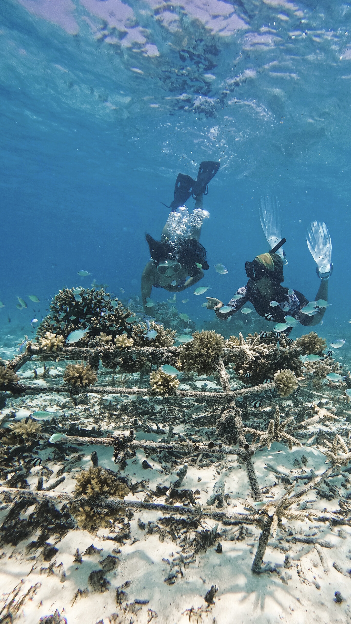 Underwater Marine Trail