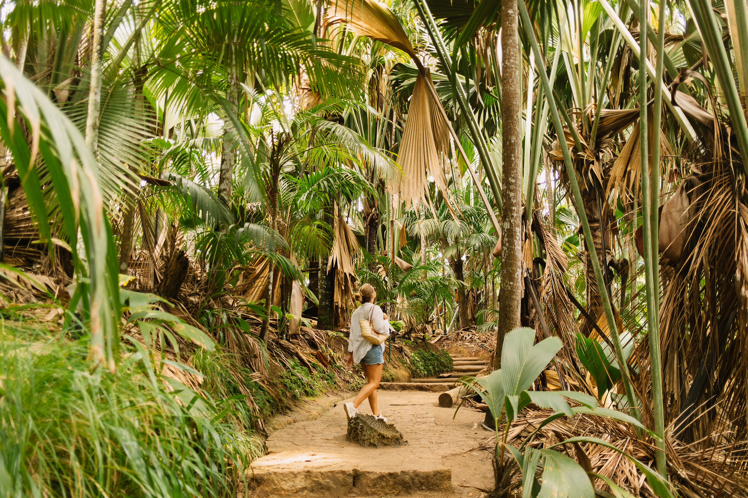 Free access hiking walks
