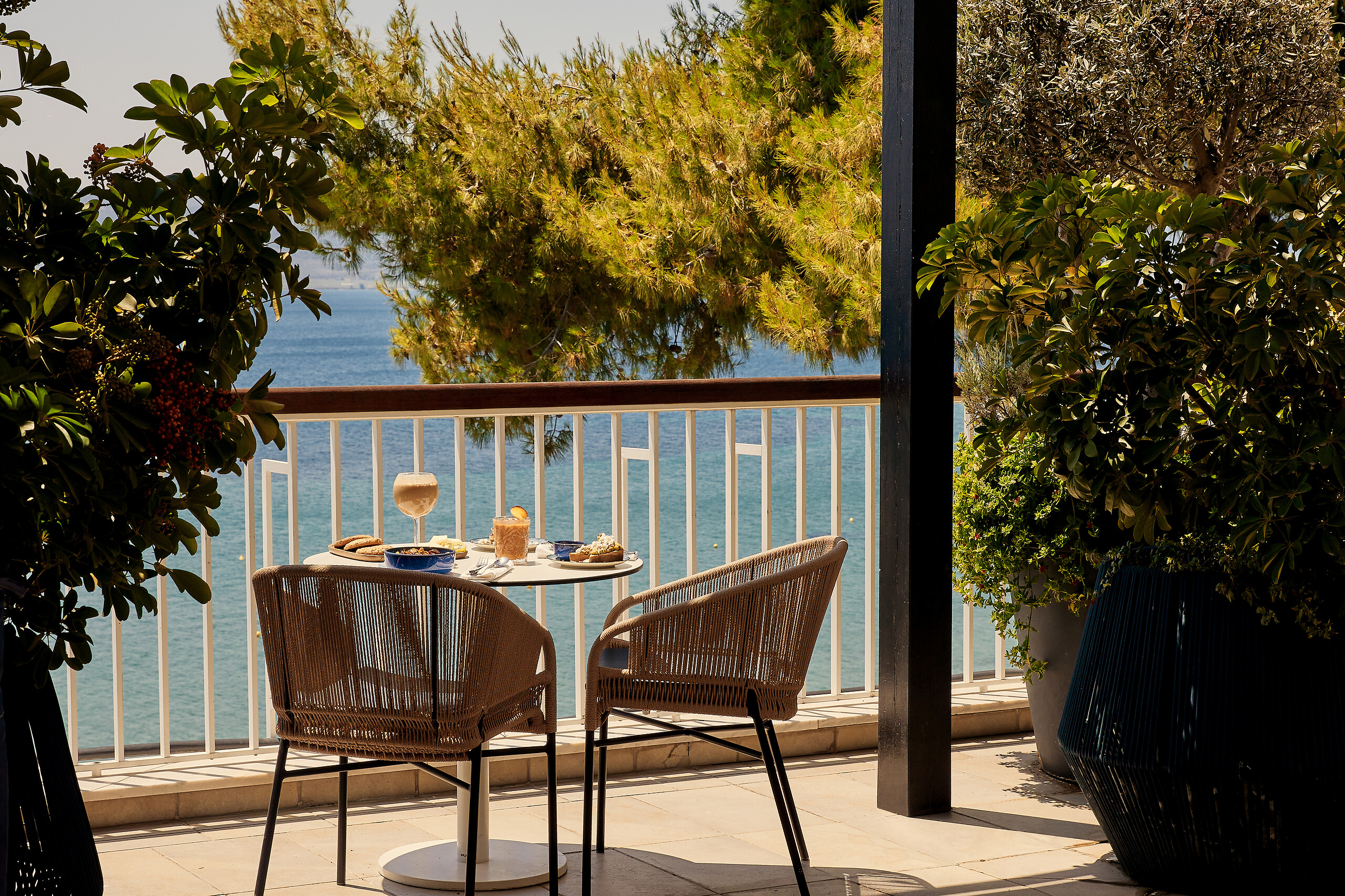 L'Olea bar