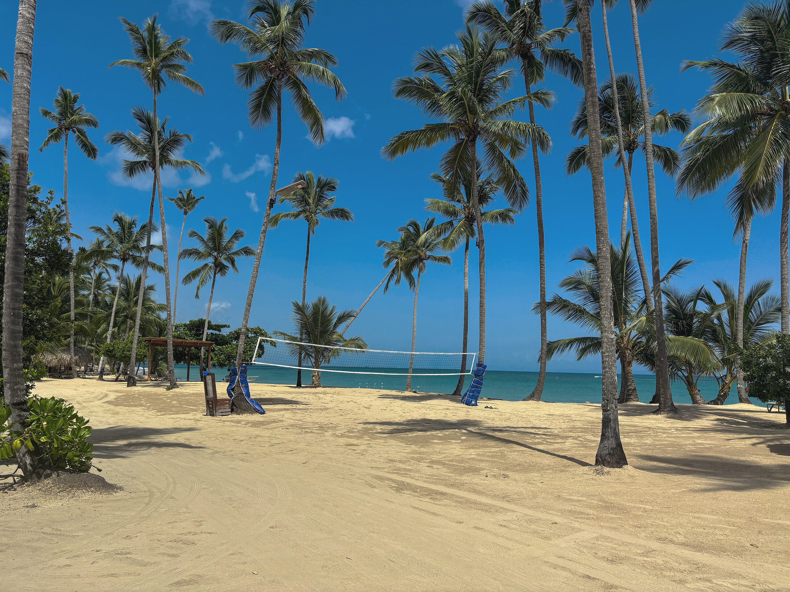 Beach volleyball