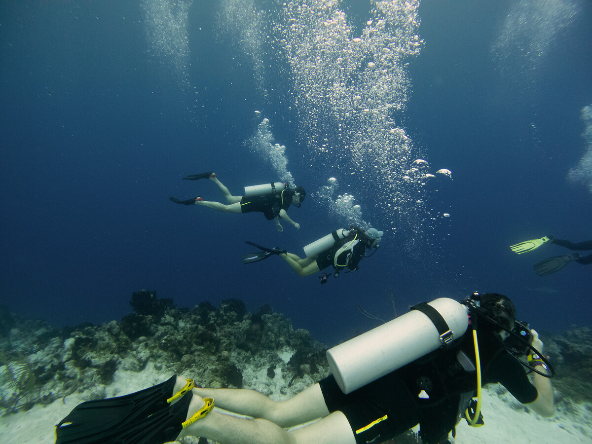 Scuba Diving Spots