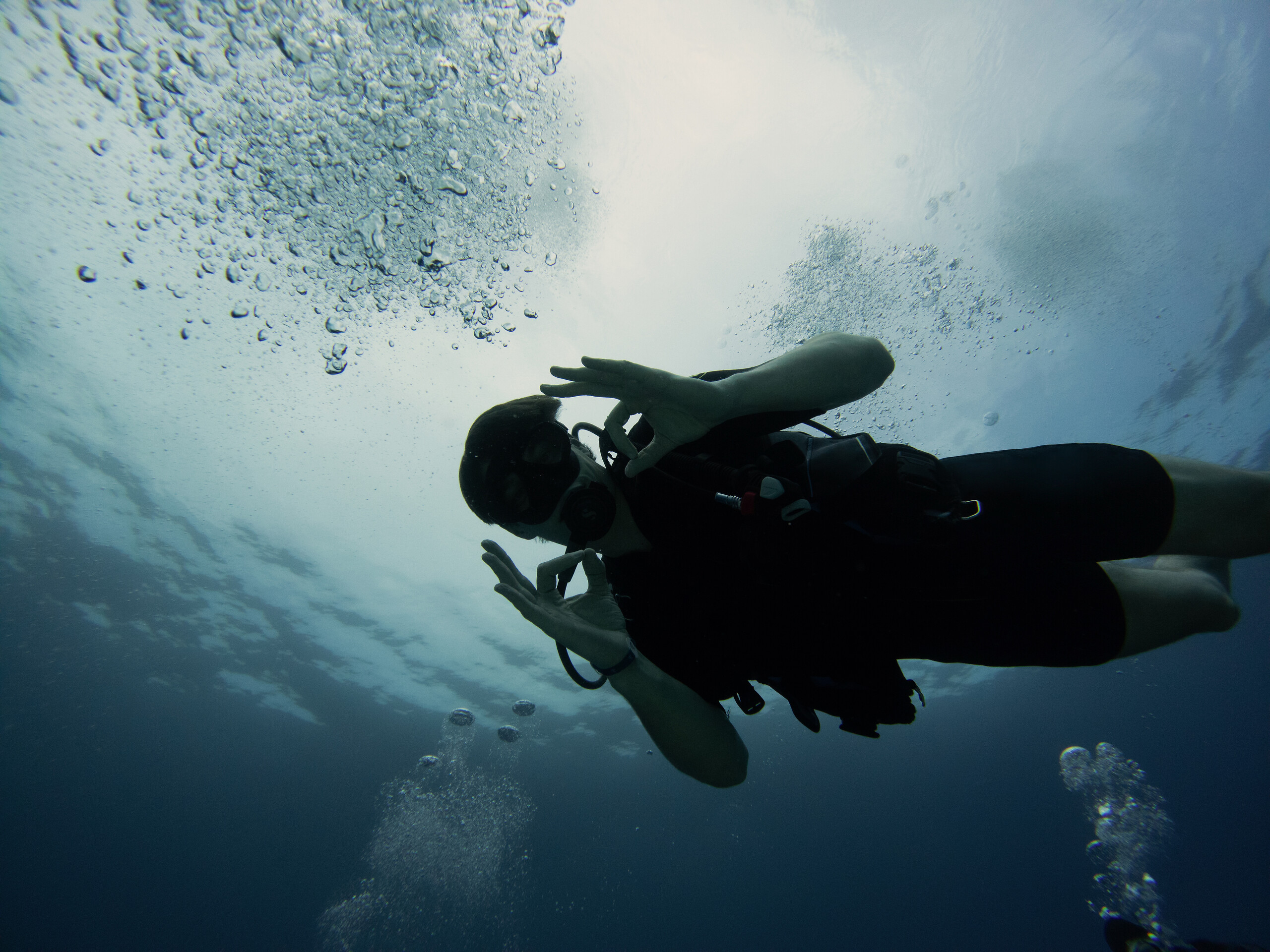 Scuba Diving Center: Eurodivers