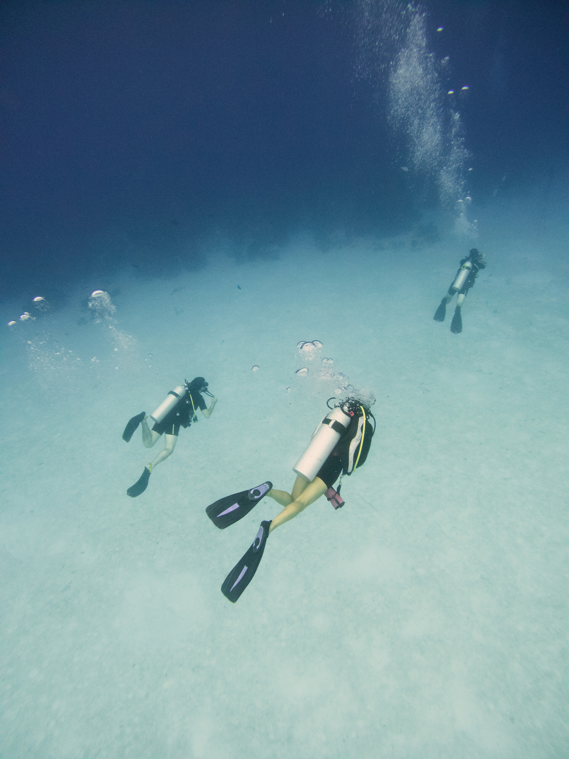 10 independent dives package