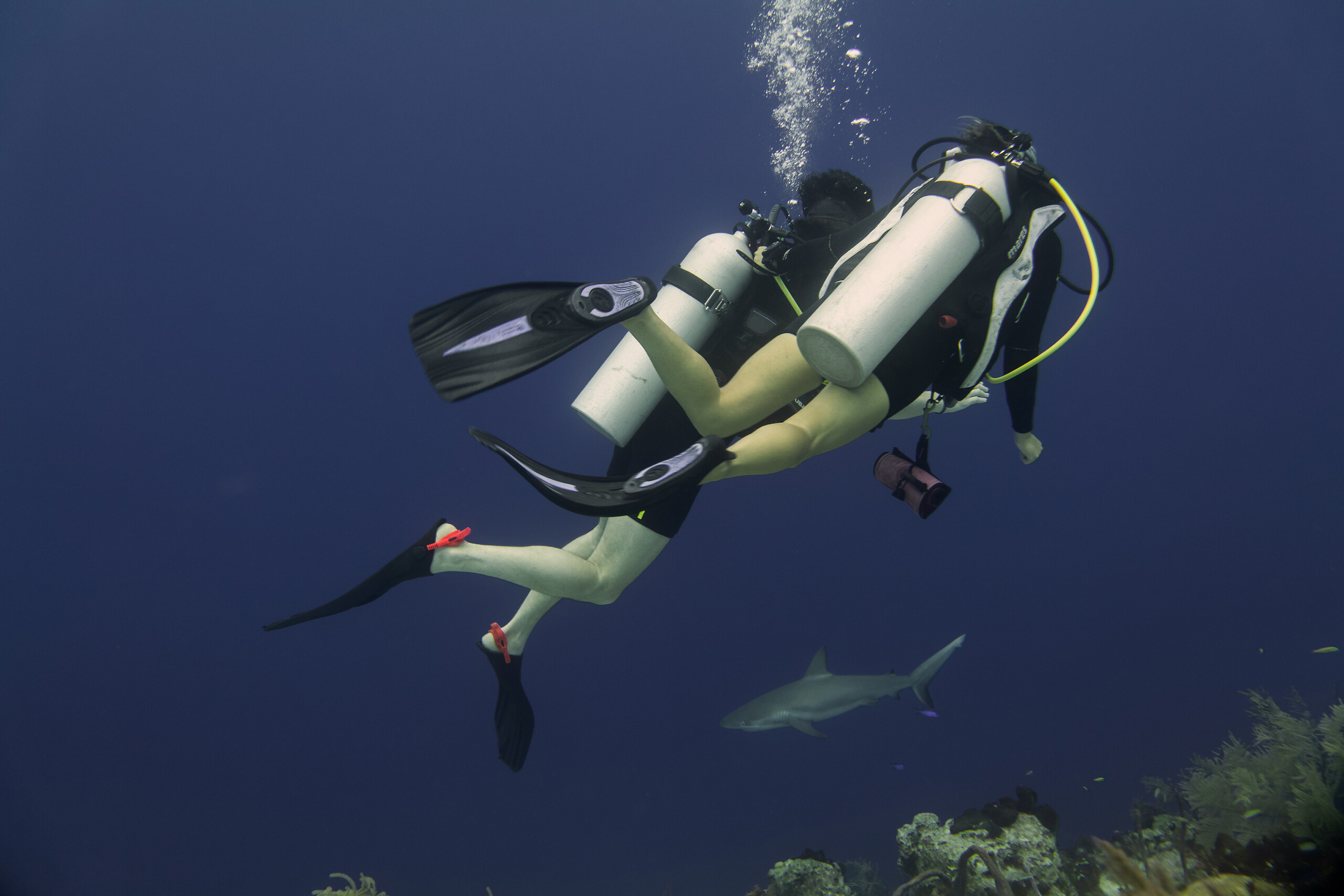 Scuba Diving Spots