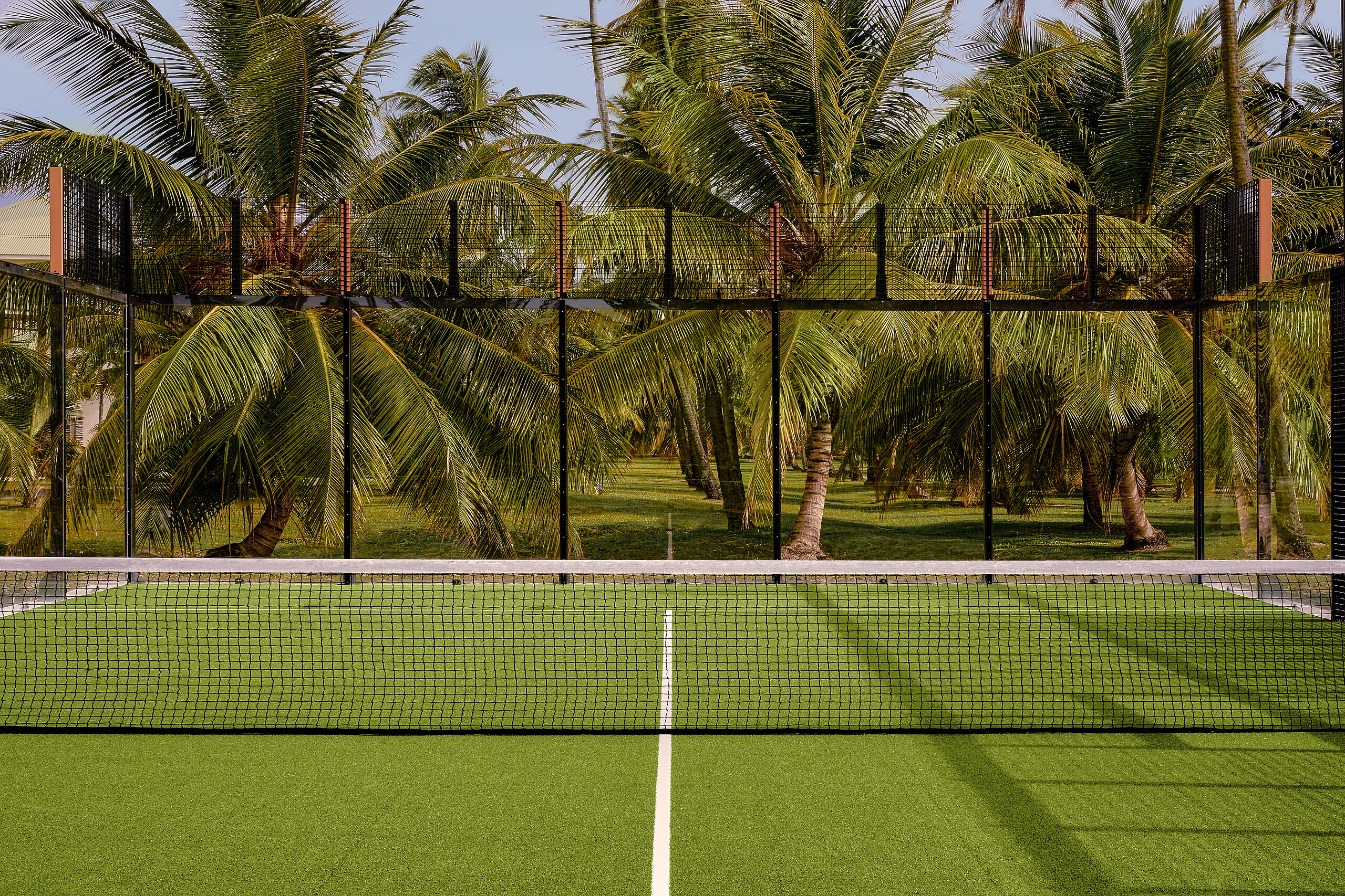 Free access to padel  courts