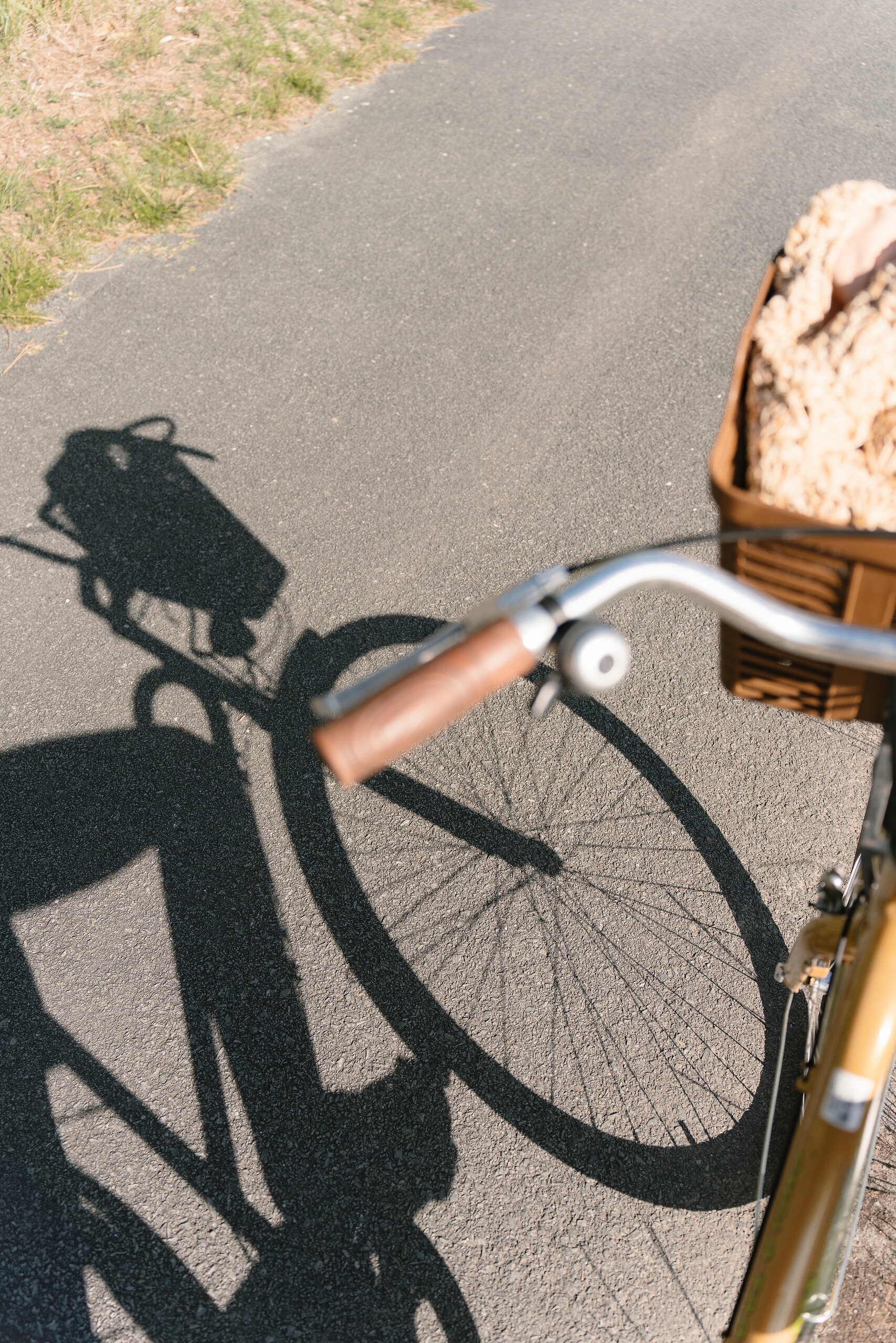Bike Tour