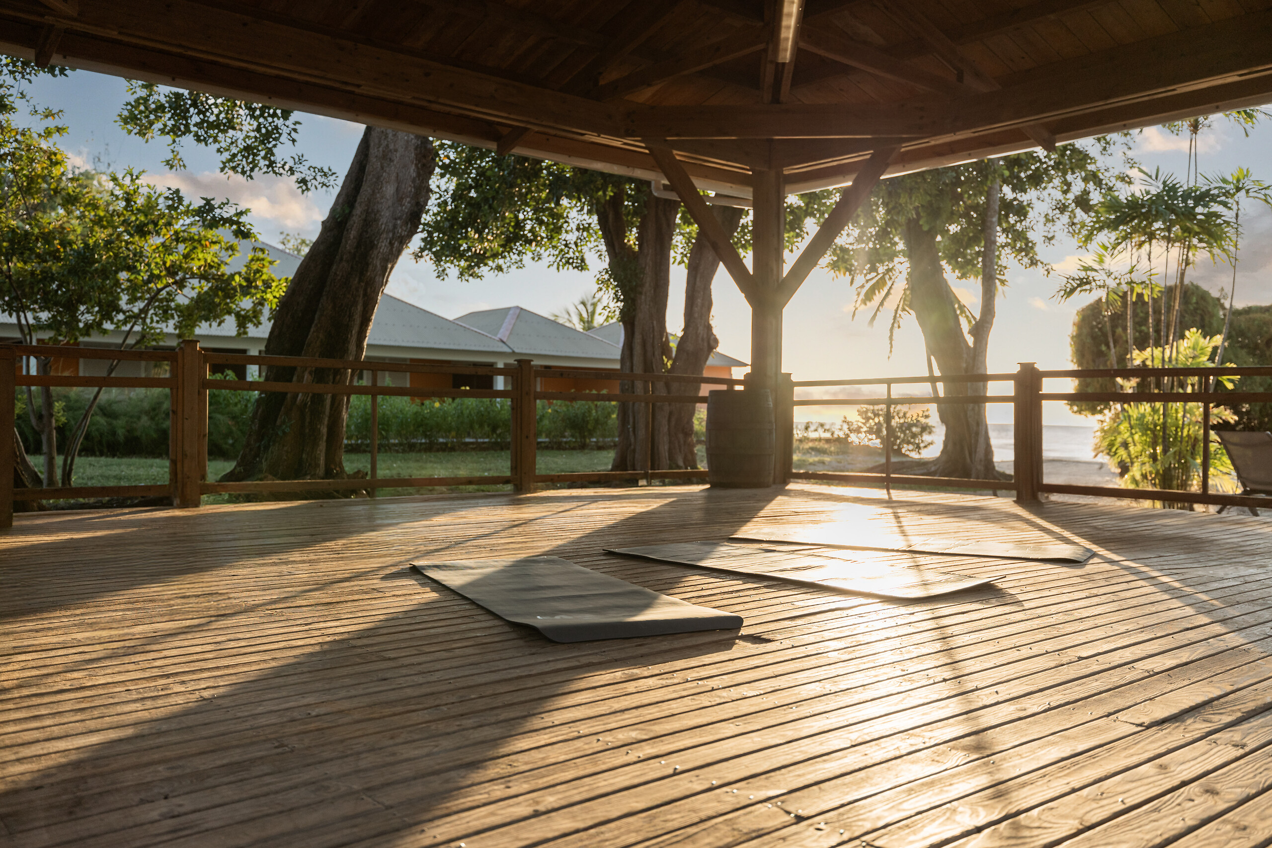 Yoga Palapa