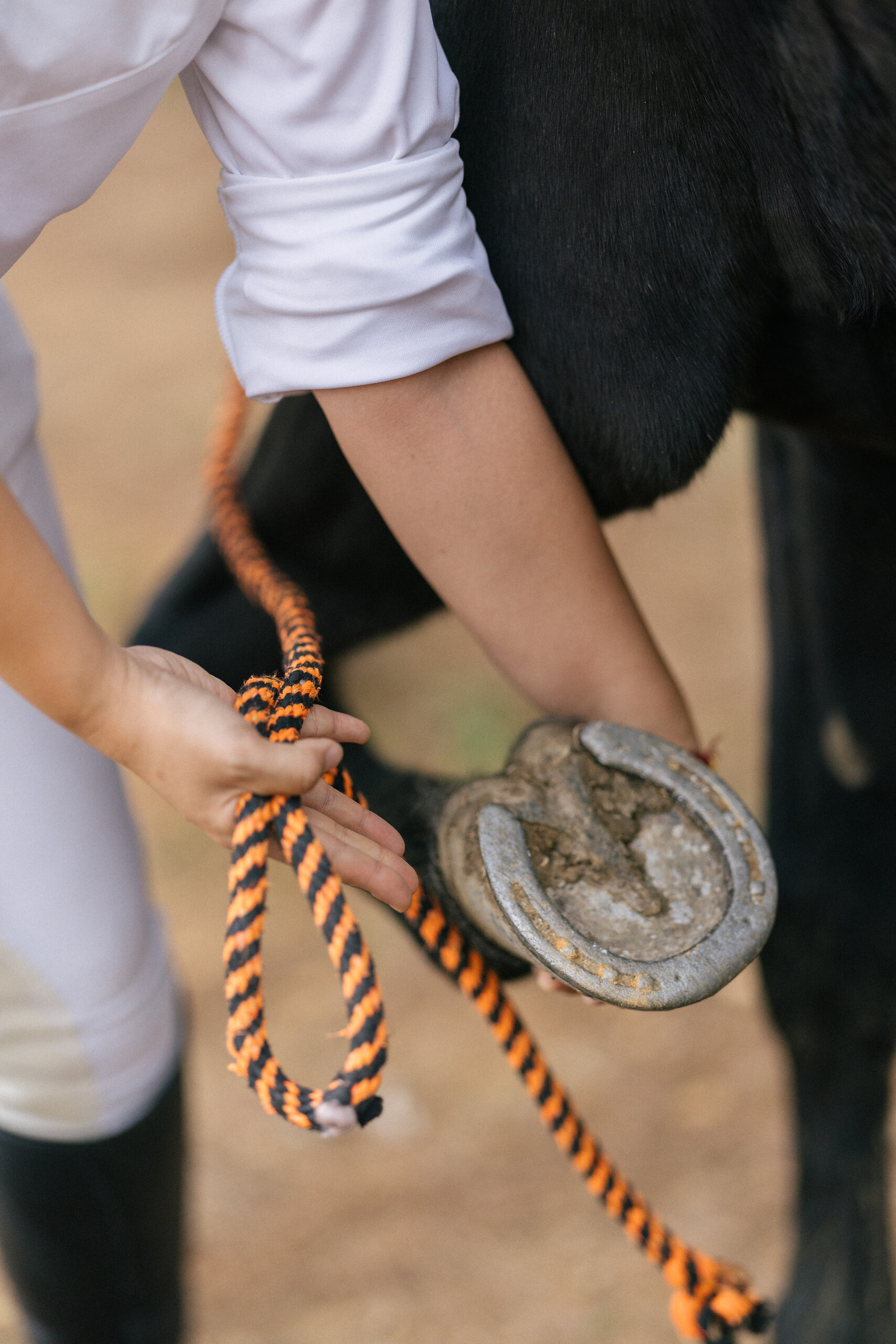Horseriding course for children - 3 days