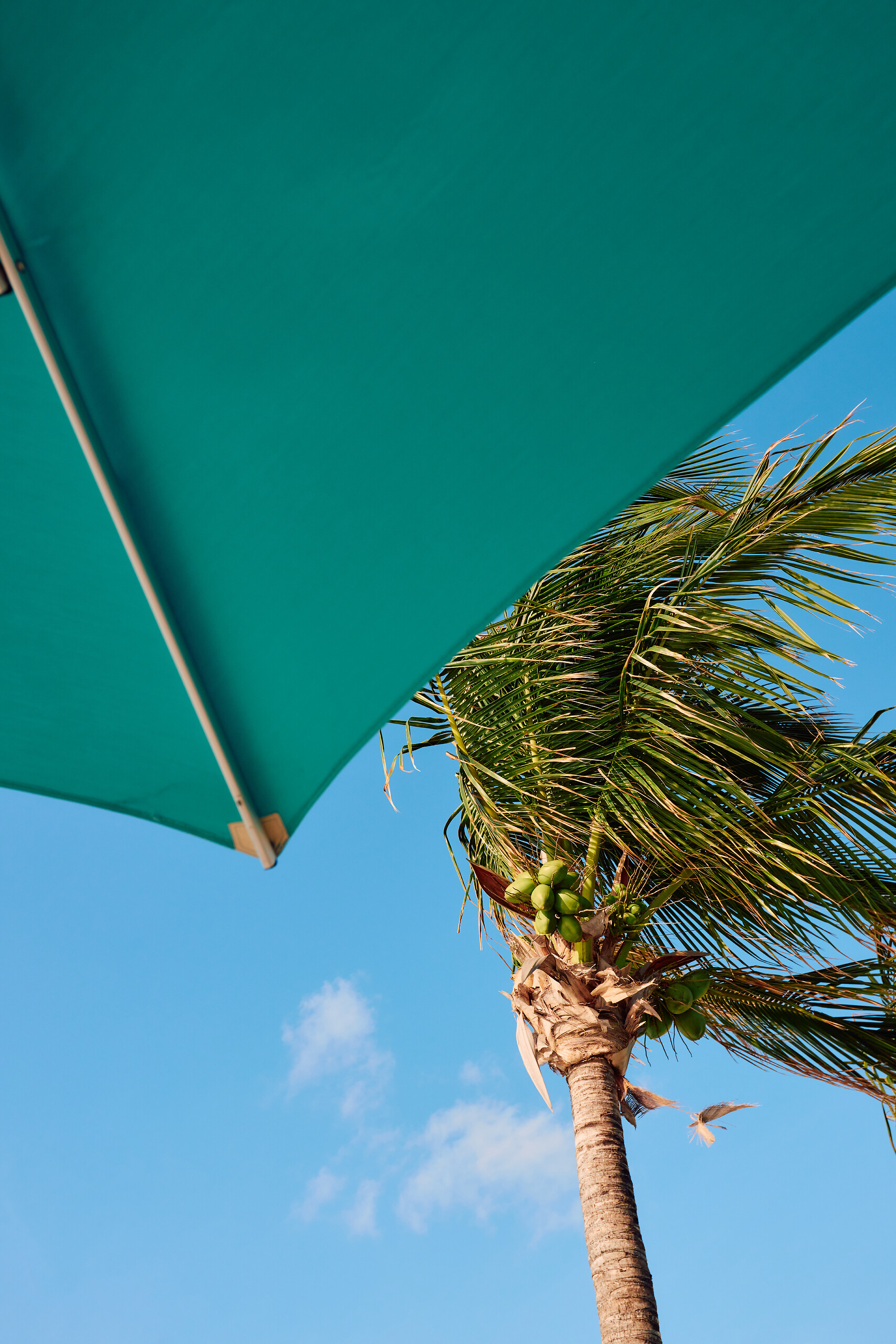 Treasures of Isla Mujeres