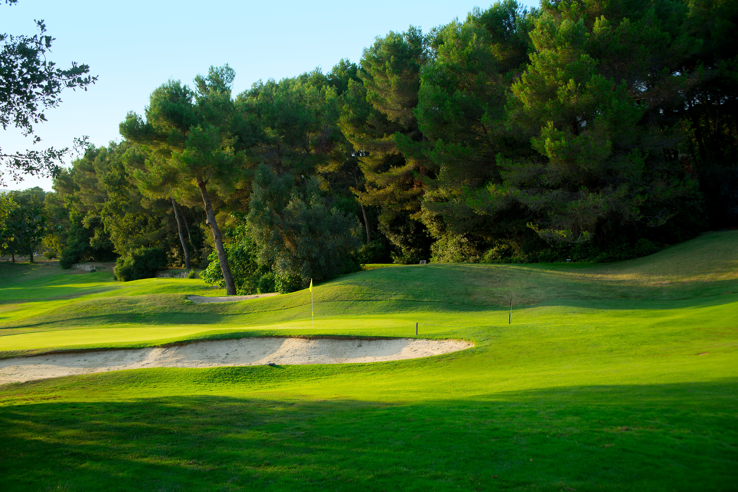4 green fees package