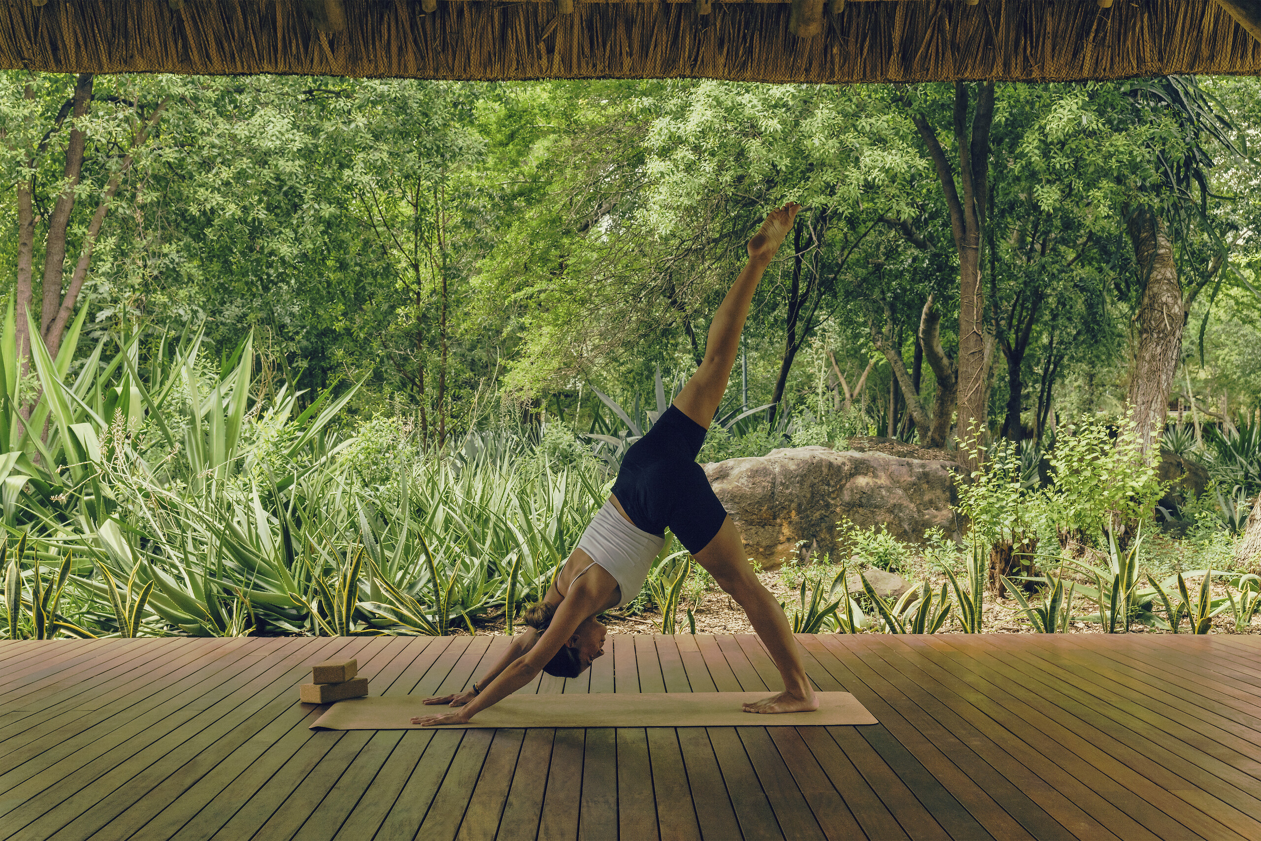 Yoga by Heberson and other flows