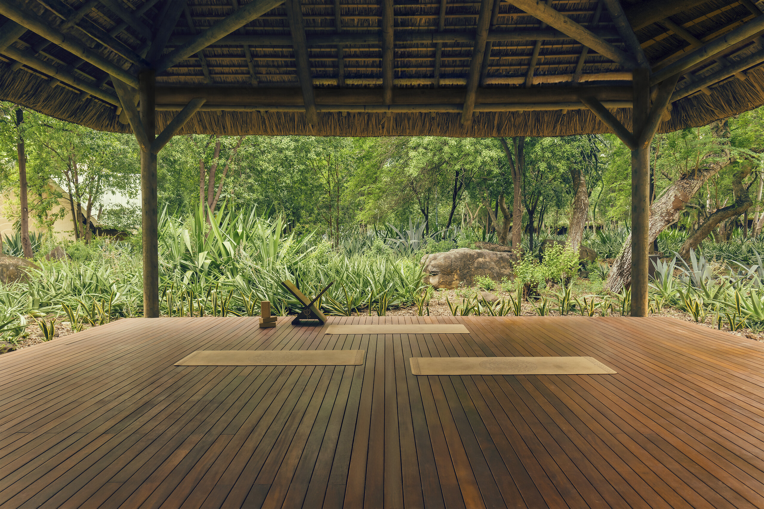 Palapa Yoga