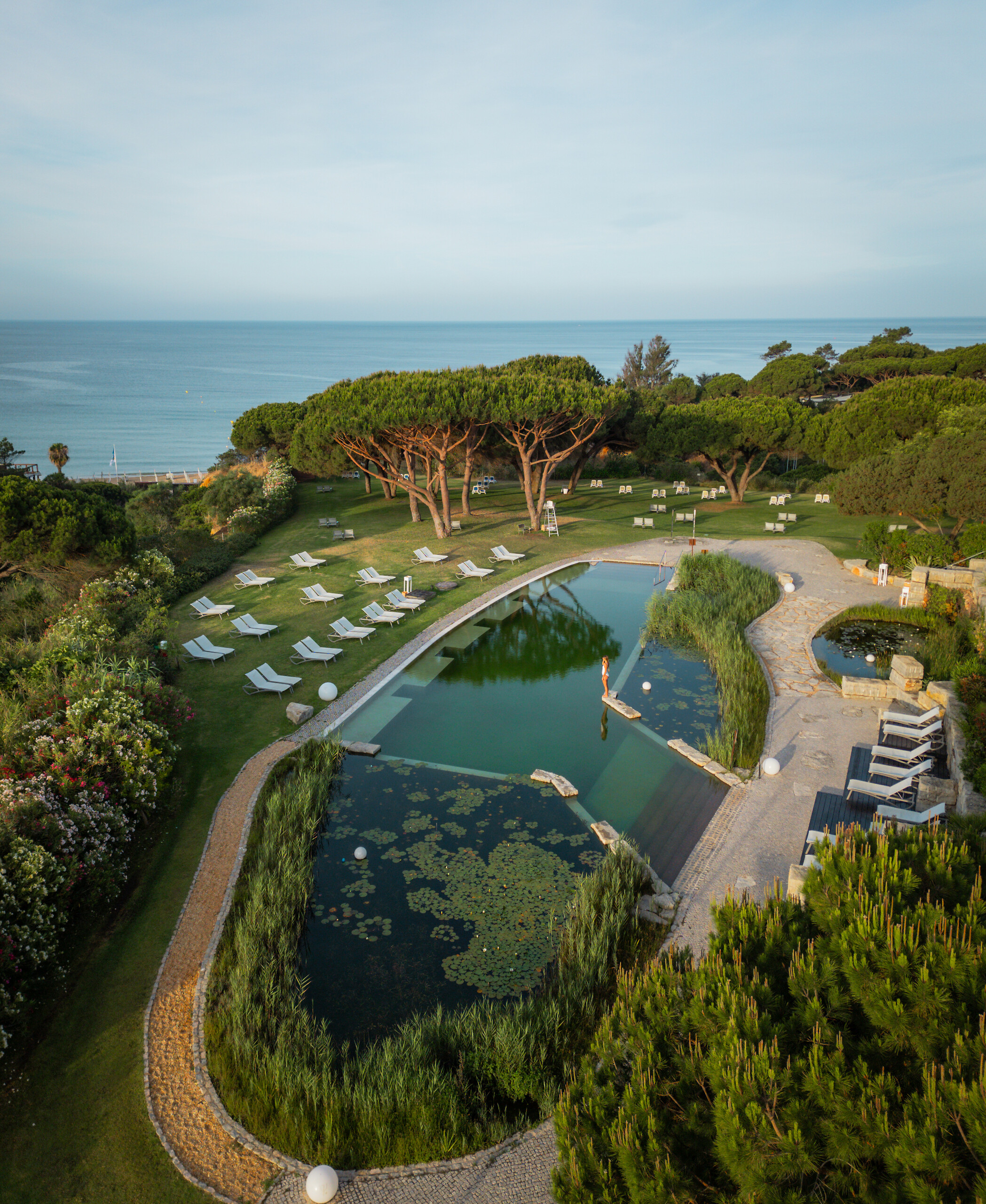 Zen natural pool