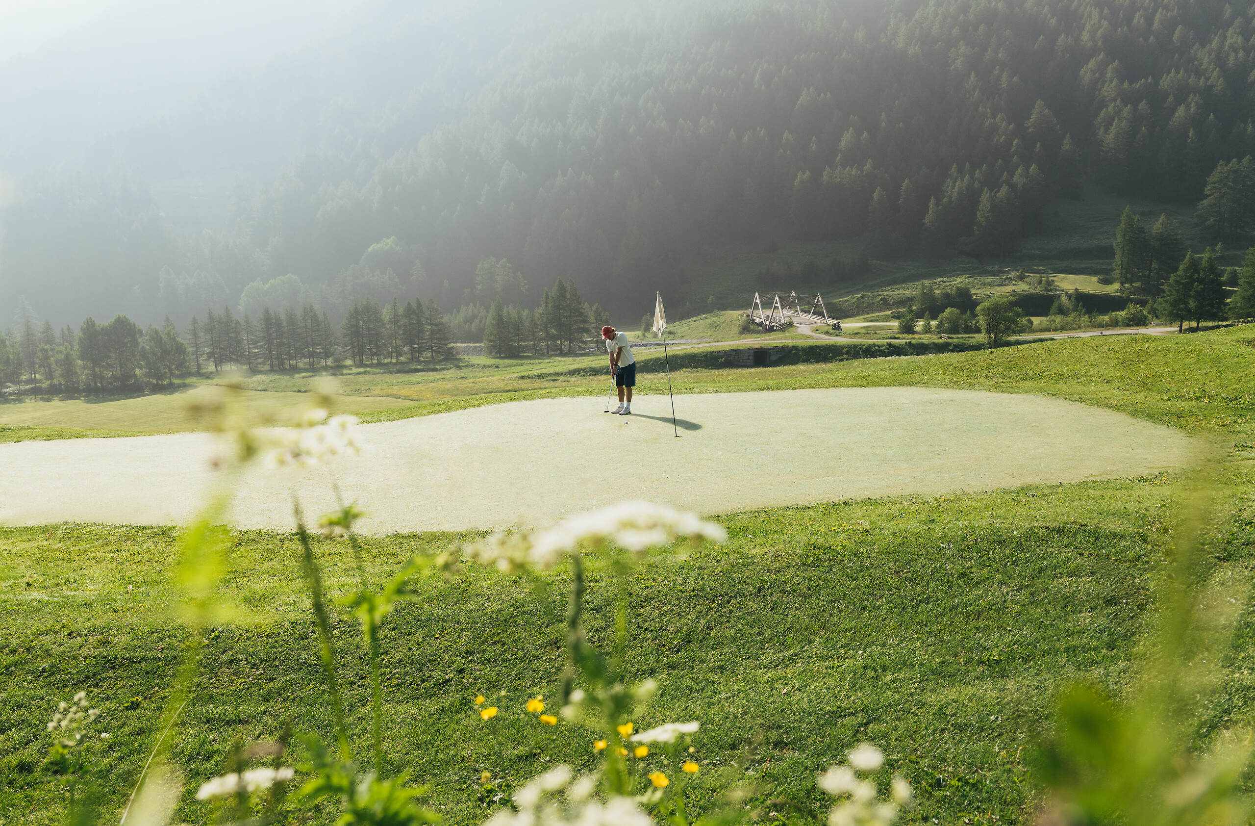 Green fee