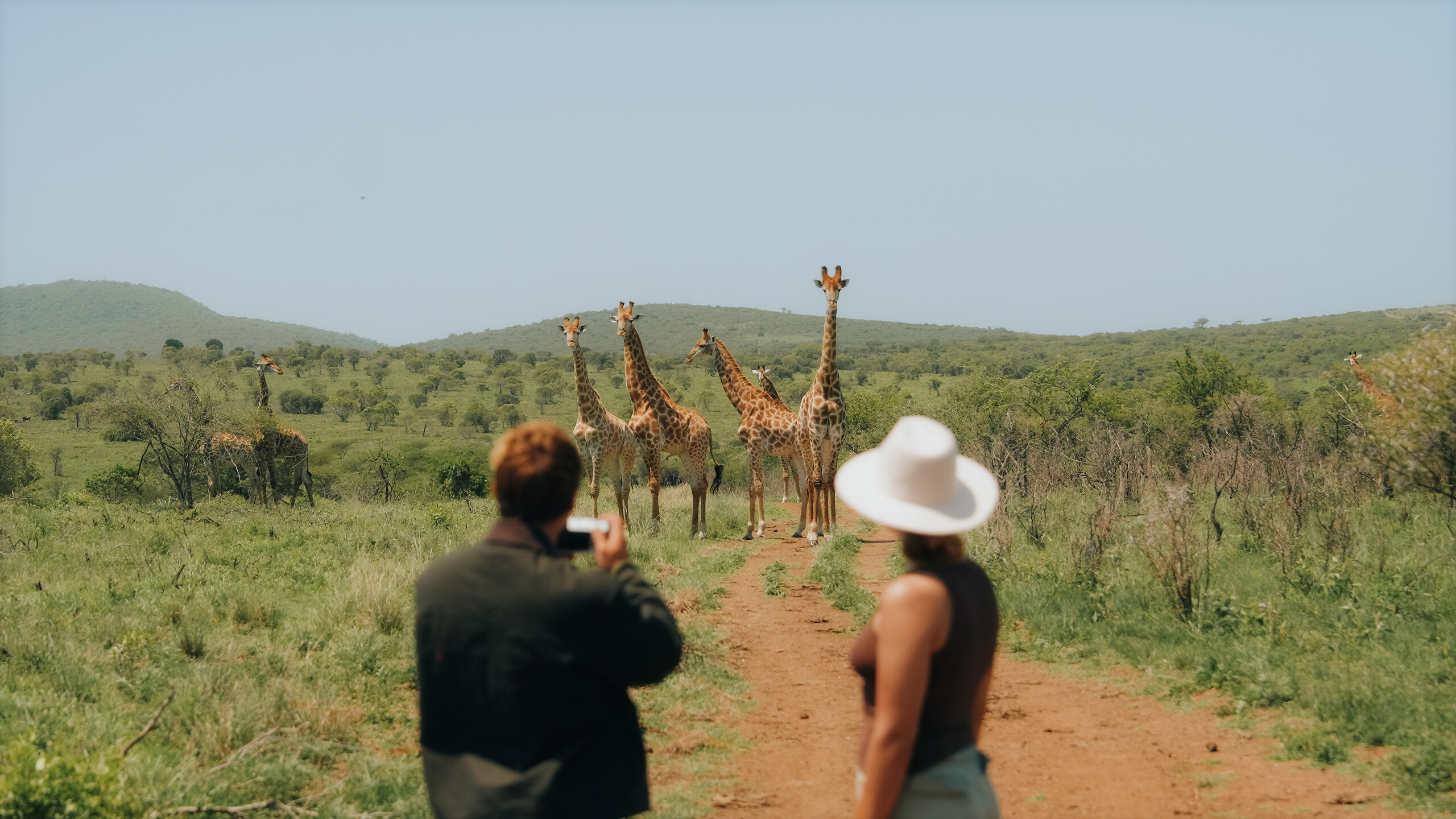 Safari au lever du soleil