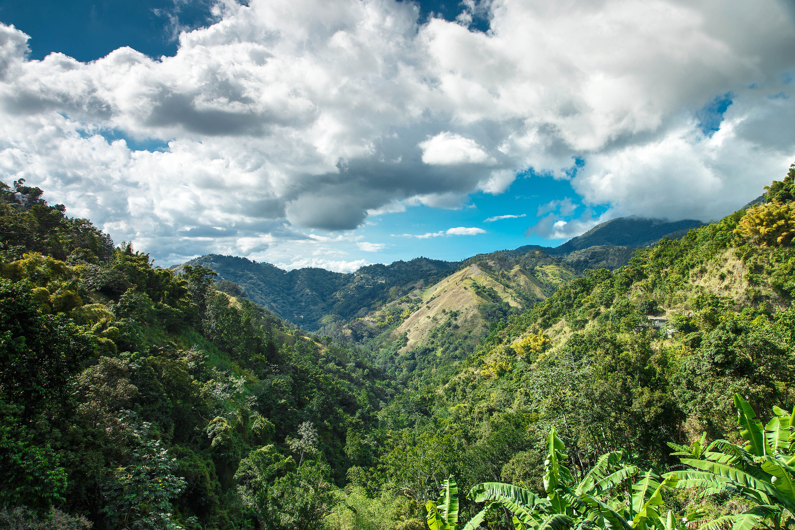 Ocho Rios / Sur les traces de Bob Marley