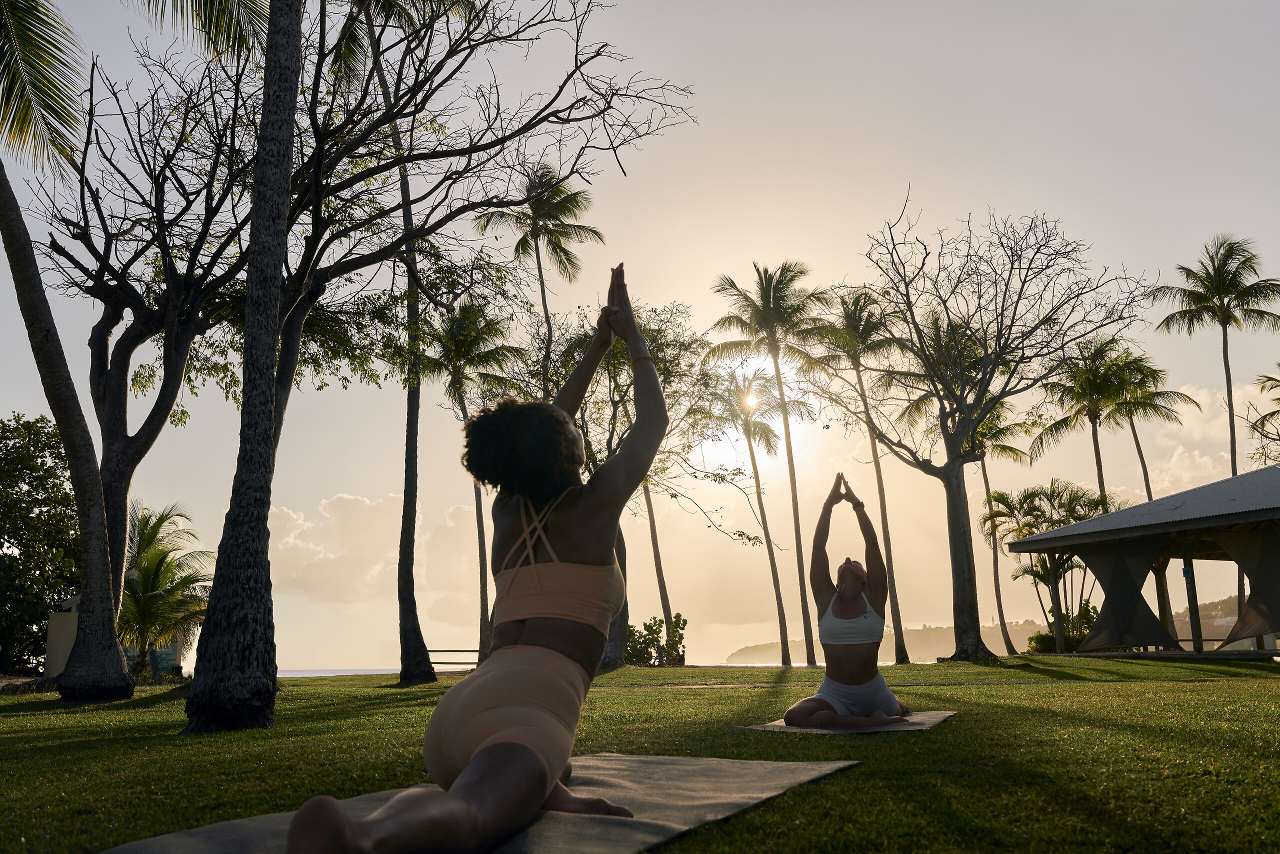 Yoga Ashtanga