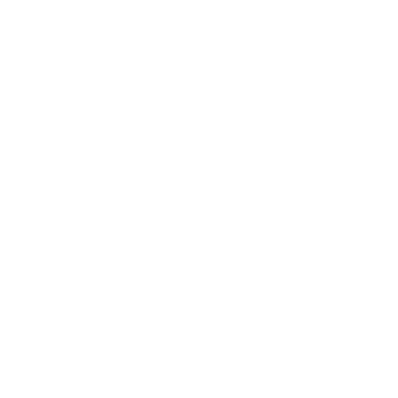 Zico 10 Camp