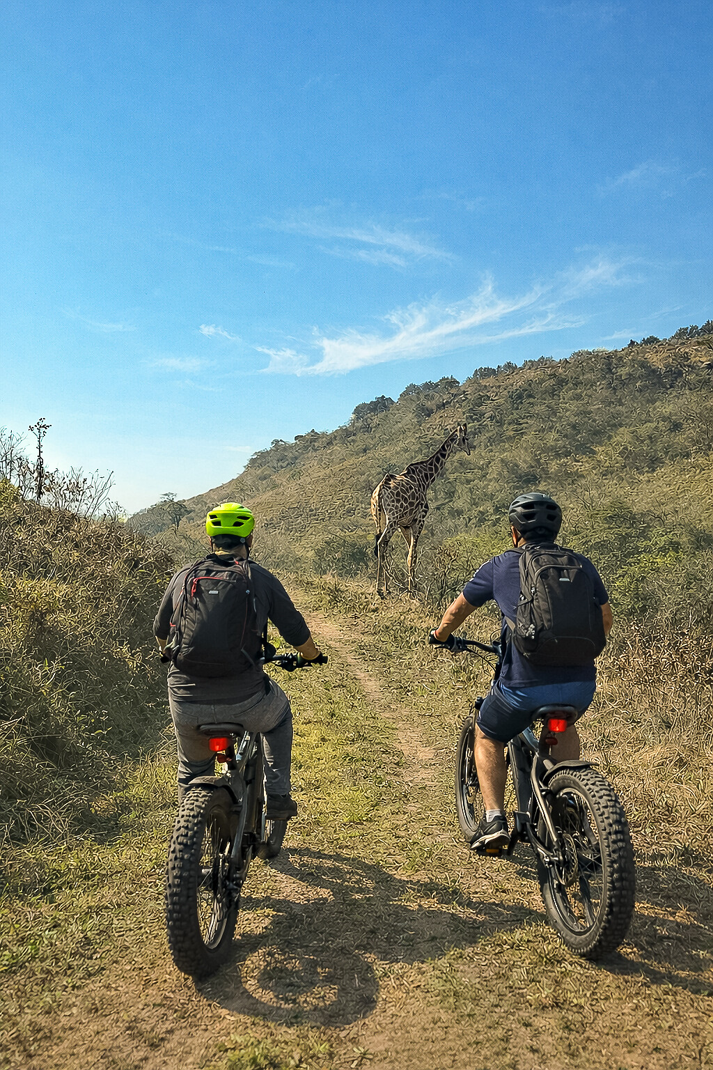 Safari en vélo électrique